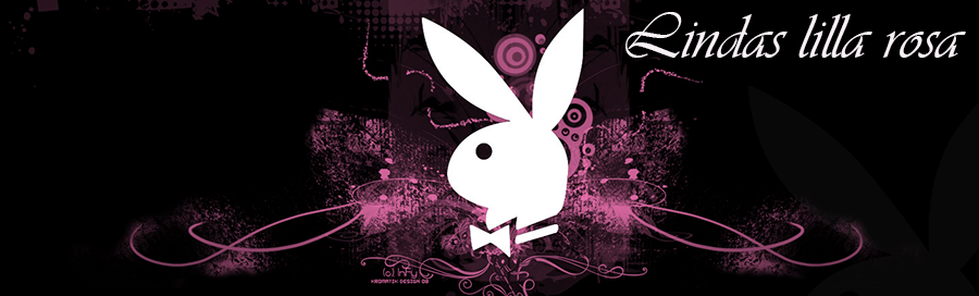 Lindas lilla rosa